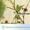 Green Plant Climbing Stainless Steel Mesh Mesh